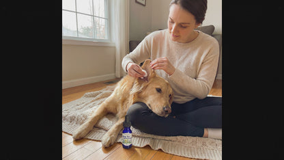 Dog Ear Relief Blend