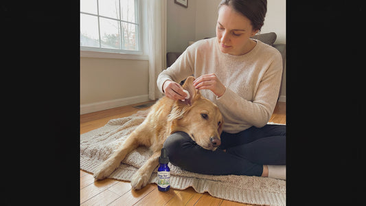 Dog Ear Relief Blend